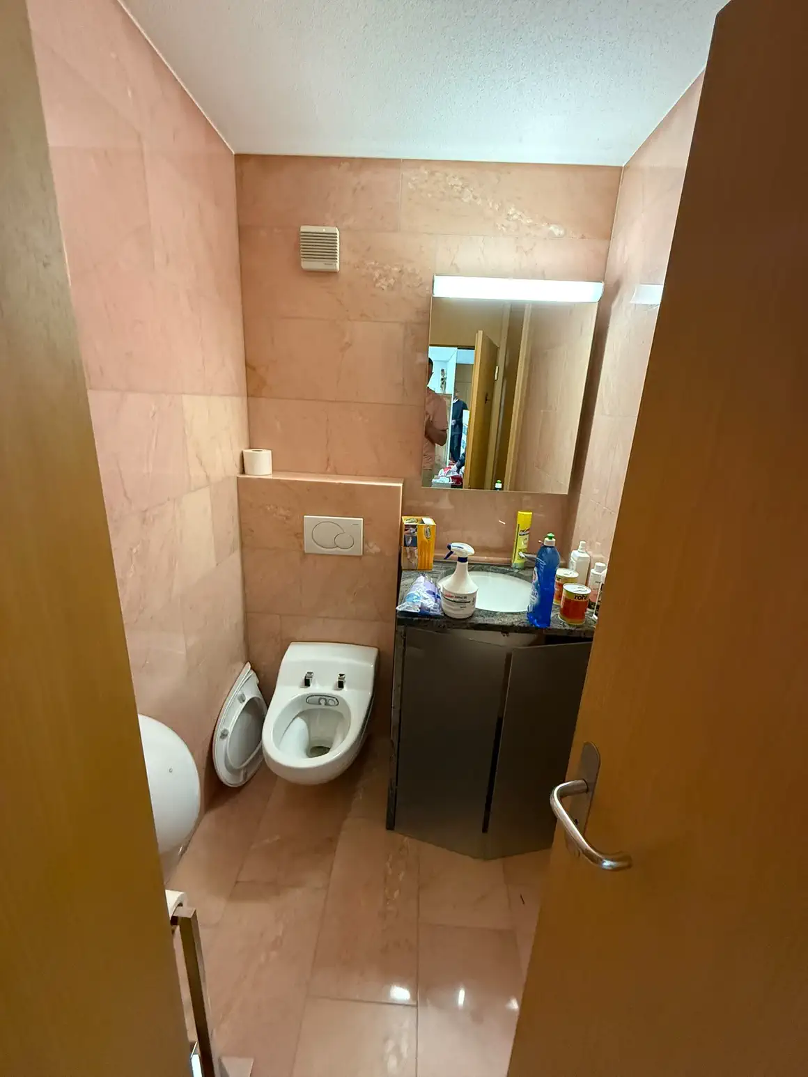 Das alte Bad vor dem Umbau: lachsfarbene Platten bis zur Decke, WC und Bidet nebeneinander, Waschtisch in der Ecke
